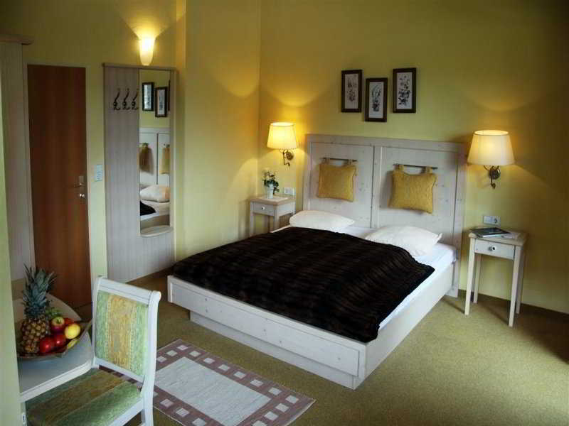 423 - Penthouse Centrum Near Area Mayrhofen